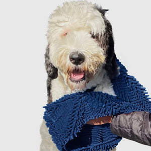 Soggy Doggy Super Shammy