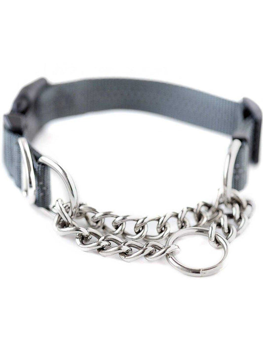 🐾✨Mighty Paw Martingale Collar