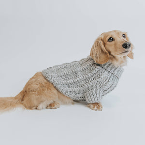 Dog Cable Knit Sweater - Gray