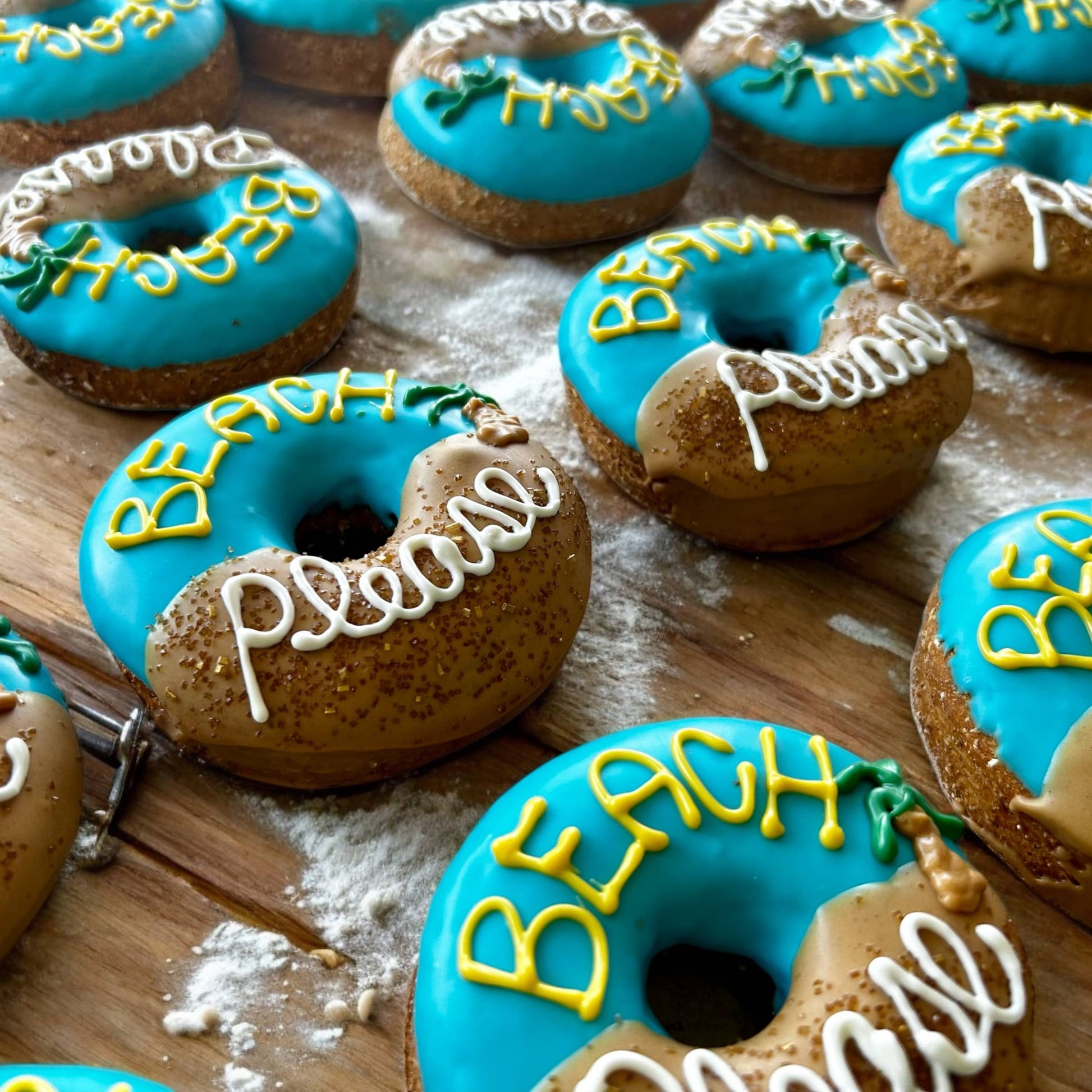 Beach PLEASE doggie donut dog treat