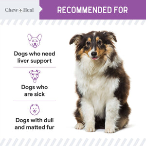 Milk Thistle Tincture for Dogs for Liver & Kidney Health