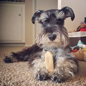Gold Yak Dog Chews-Large