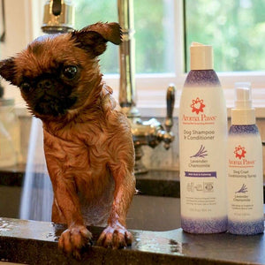 Shampoo Lavender Chamomile