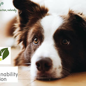 Plant-Based Calming Collar for Dogs