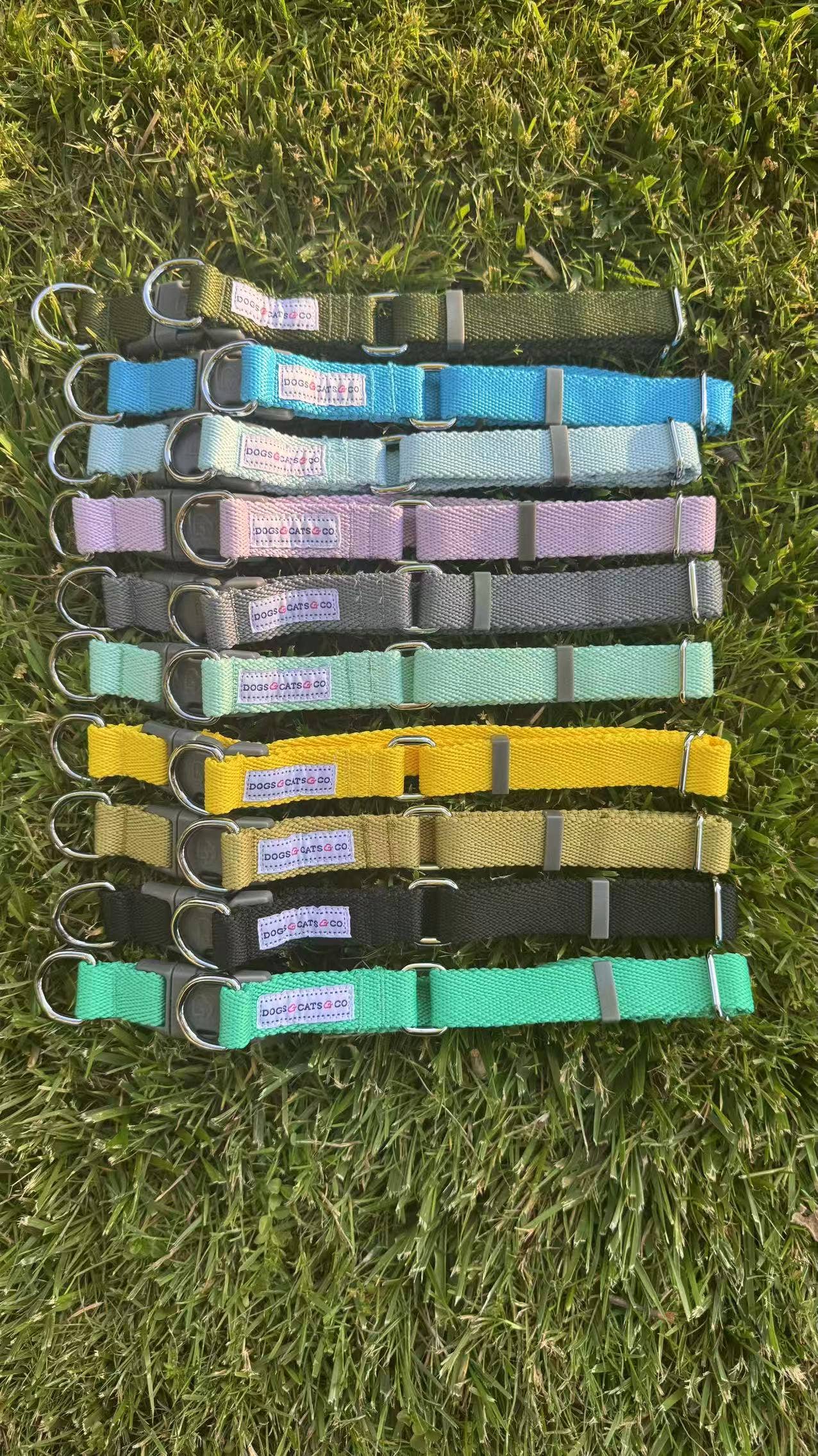 ✨ Dogs & Cats & Co. Double D-Ring Dog Collar 🐾