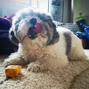 Yeti Yak Cheese Dog Nuggets Treats
