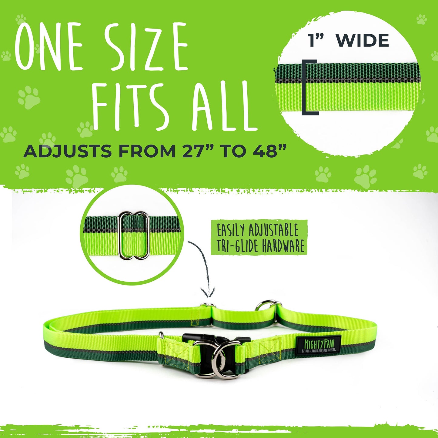 🏃♂️ Mighty Paw Hands-Free Bungee Leash Set 2.0