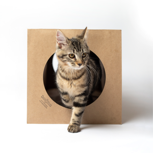Hide & Sneak Paper Cat Play Tunnel