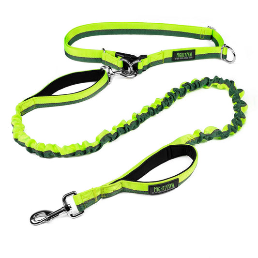 🏃♂️ Mighty Paw Hands-Free Bungee Leash Set 2.0