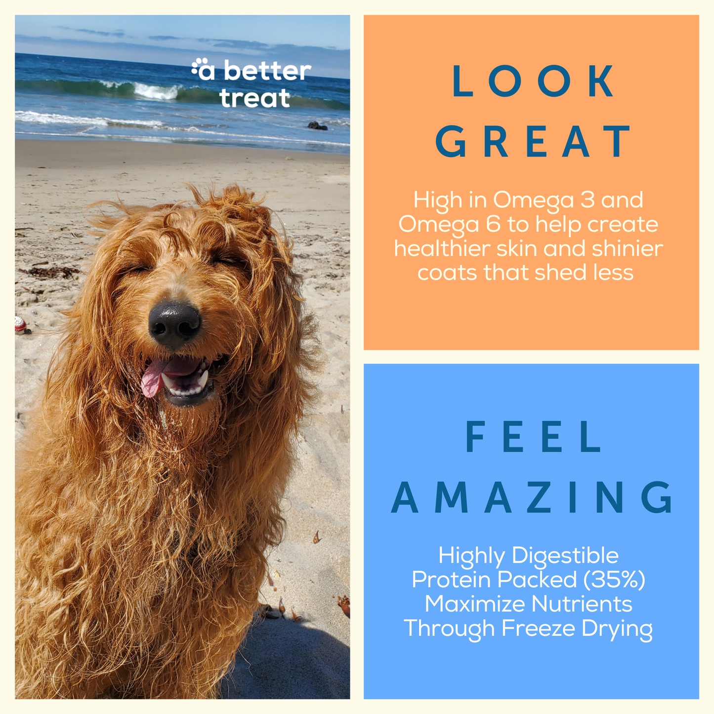 A Better Dog Food Salmon - High Protein - Raw You Can See