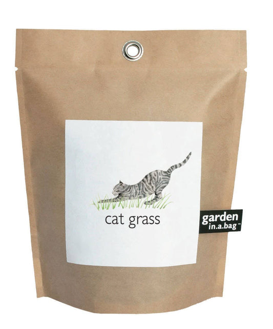 🐱🌱Garden in a Bag | Cat Grass | Spring Pet Treat Gift