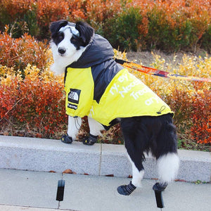 The Dog Face Pet Jacket