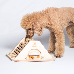 Pyramid - Dog Game