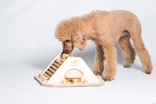 Pyramid - Dog Game