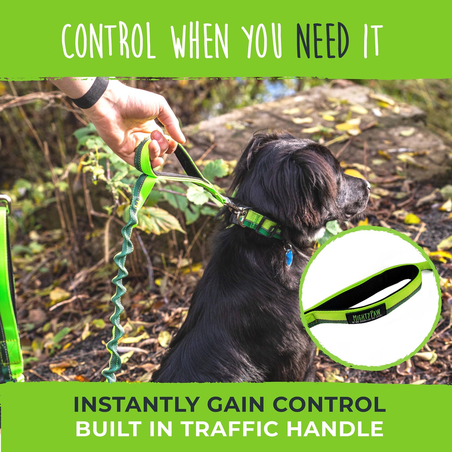 🏃♂️ Mighty Paw Hands-Free Bungee Leash Set 2.0