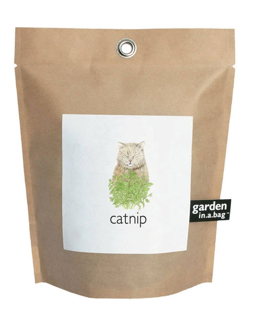 🐱🌱Garden in a Bag | Catnip | Spring Pet Treat Gift