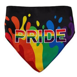 🌈🐾 HIP DOGGIE PRIDE Dog Bandana