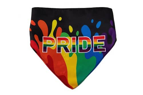 🌈🐾 HIP DOGGIE PRIDE Dog Bandana