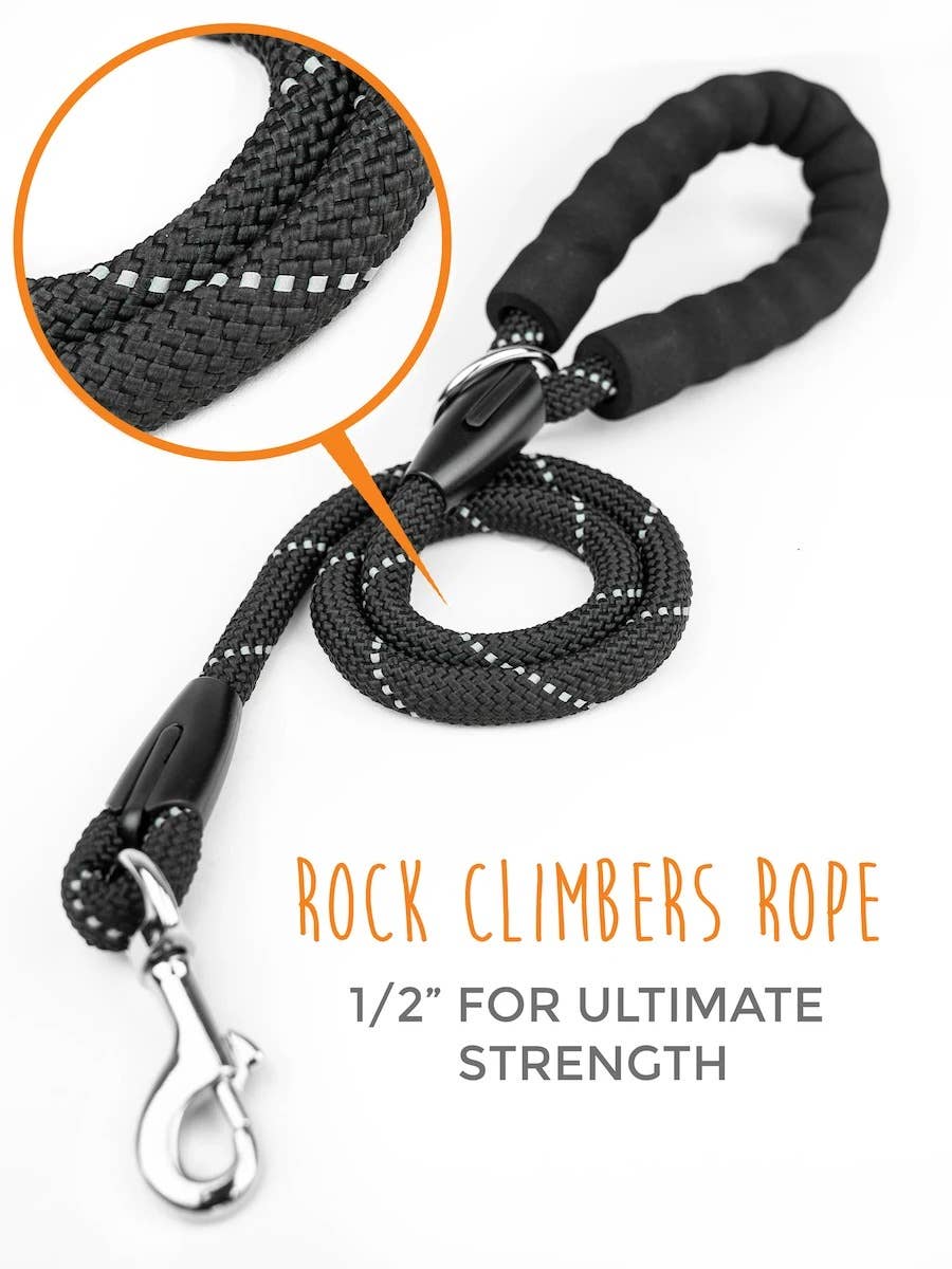🐕🐕 Double Dog Leash Coupler – Tangle-Free Walking for Two Dogs 🖤✨