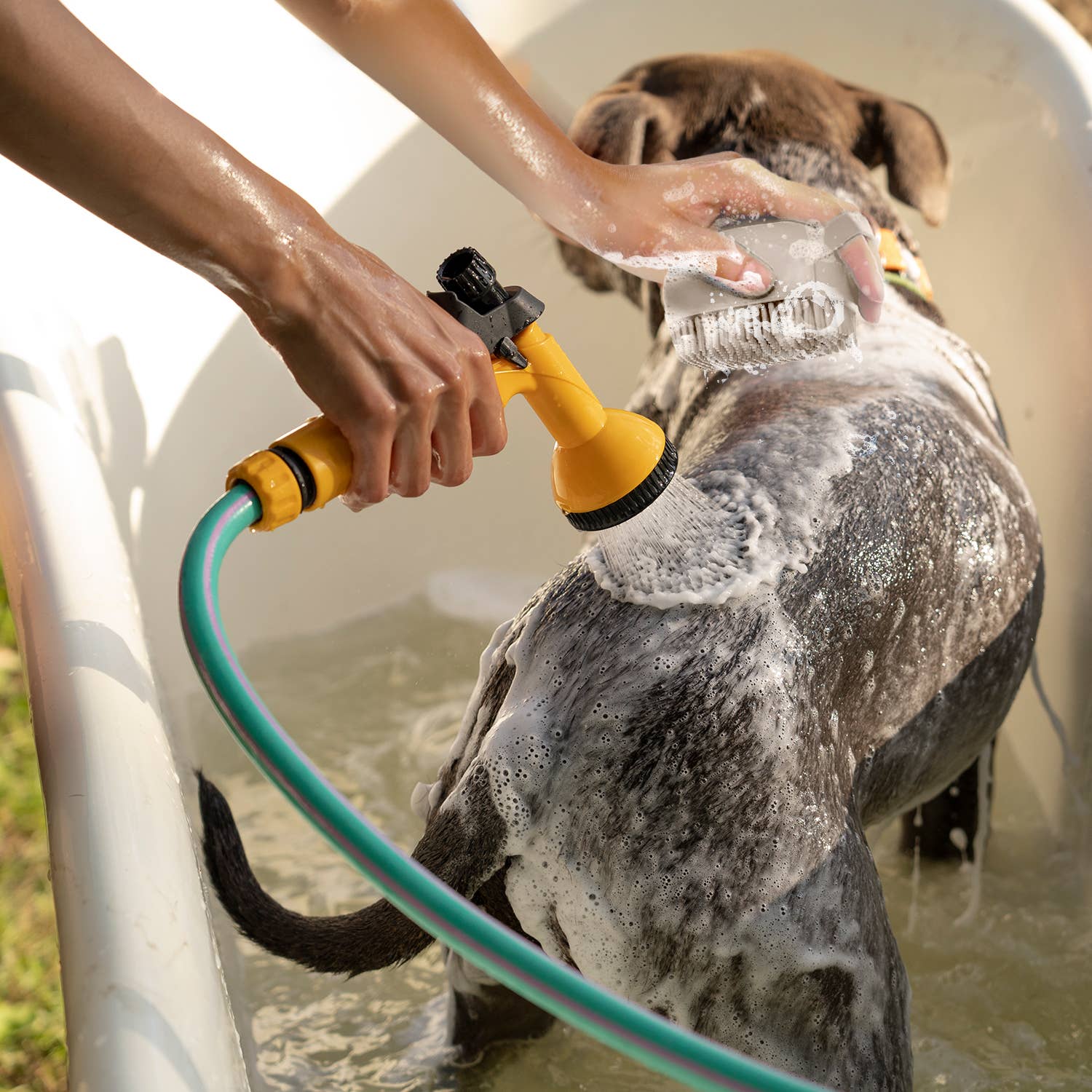Ocean Plastic by PT Eco-Friendly Soap Dispensing Pet Scrub