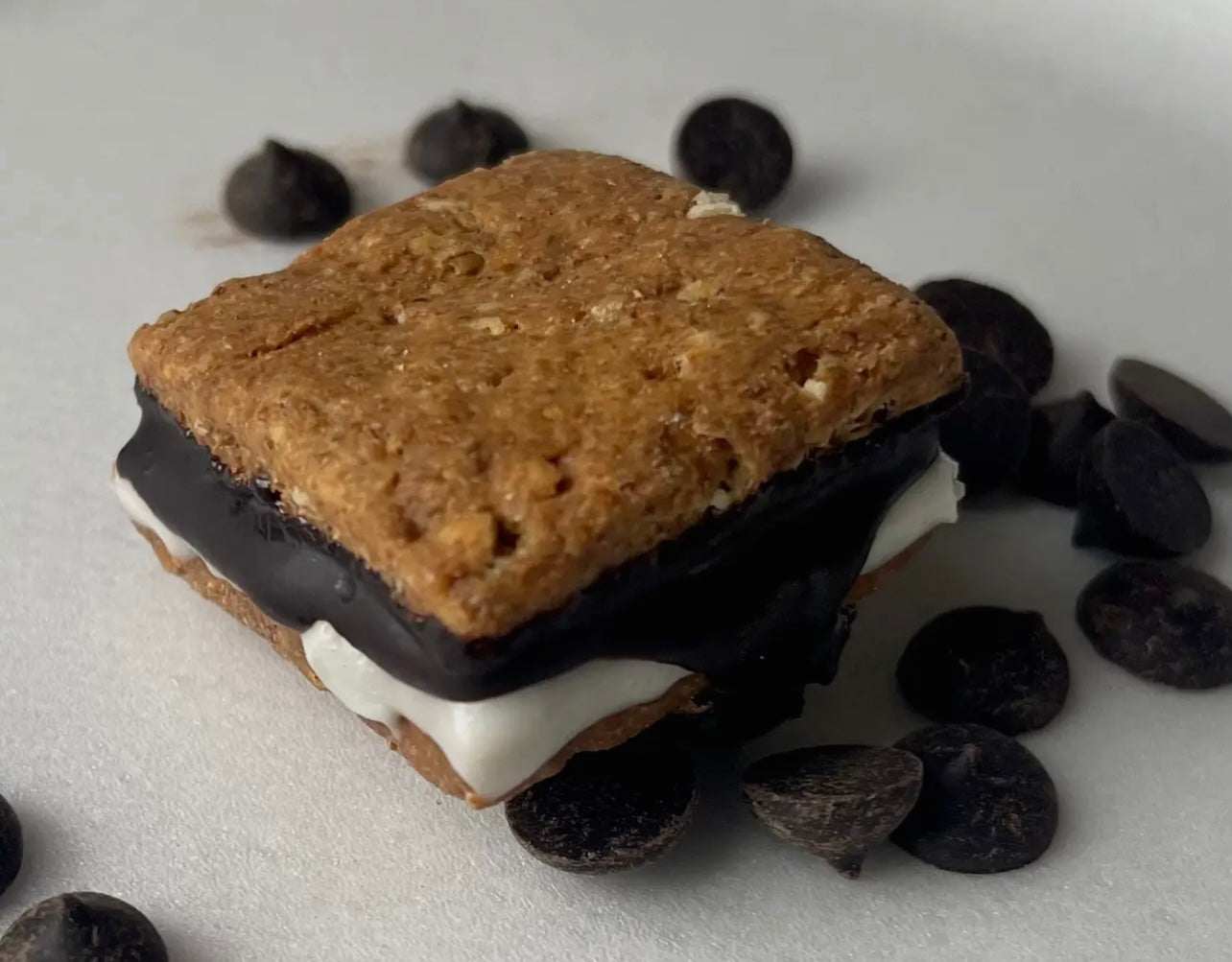 Campfire S’mores for Dogs