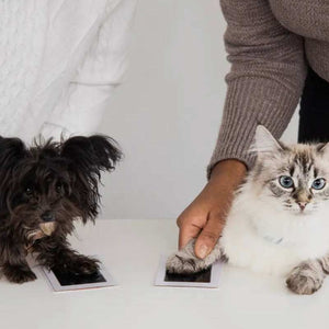 Pet Pawprint Clean-Touch Ink Pad