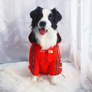 The Dog Face Pet Jacket