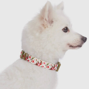 Spring Floral Pattern Light-Weighted Adjustable Dog Collar