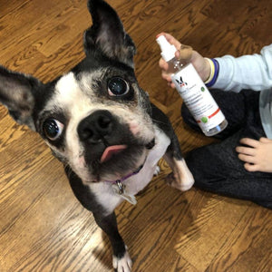 Dry & Waterless Shampoo - Green Apple Scent - 8 oz