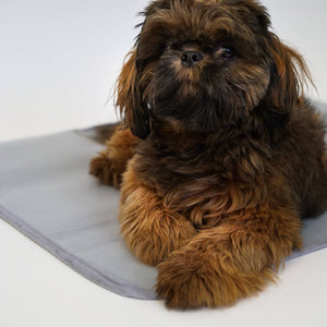 Thera-Pawz Warming Pad