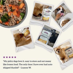 Gently Cooked Lamb & Carrot Recipe Pouches for Dogs
