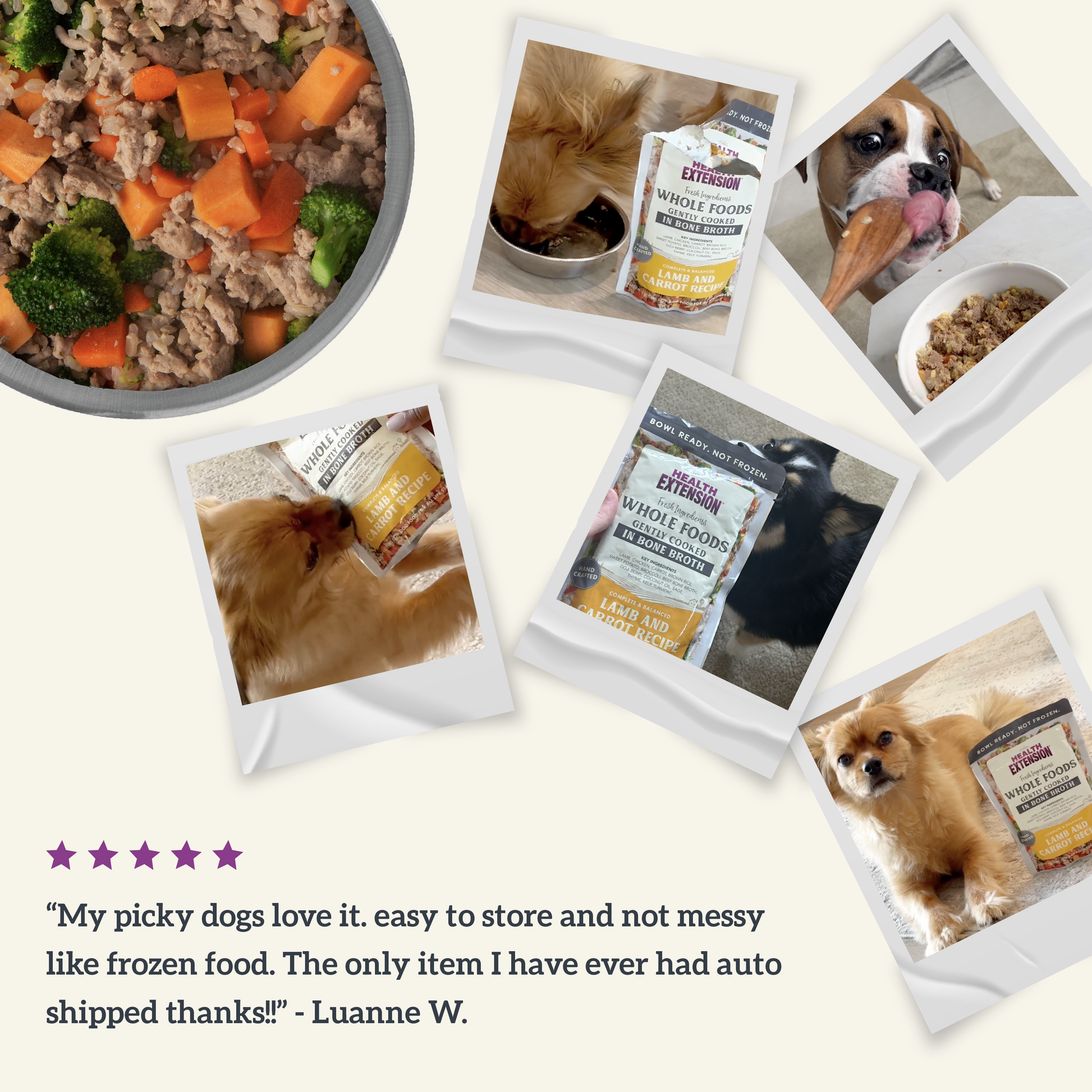 Gently Cooked Lamb & Carrot Recipe Pouches for Dogs