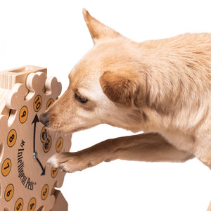 Pet's O'Clock Enrichment Toy