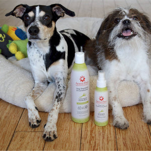 Shampoo Lemongrass Vanilla Bean