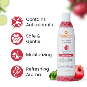Shampoo Pomegranate Cucumber