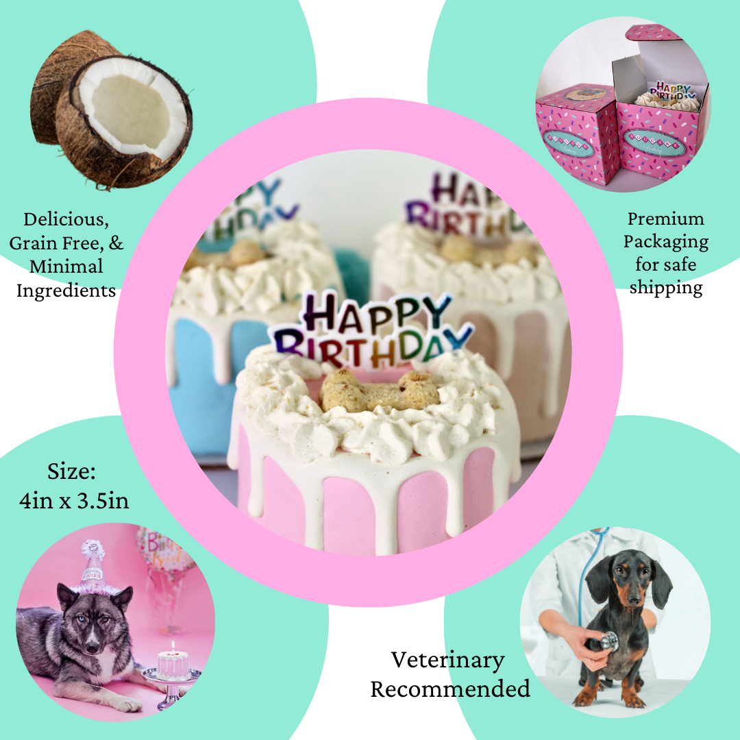 Dog Cake | Dog Birthday Cake | Birthday | Drip Cake | Pink