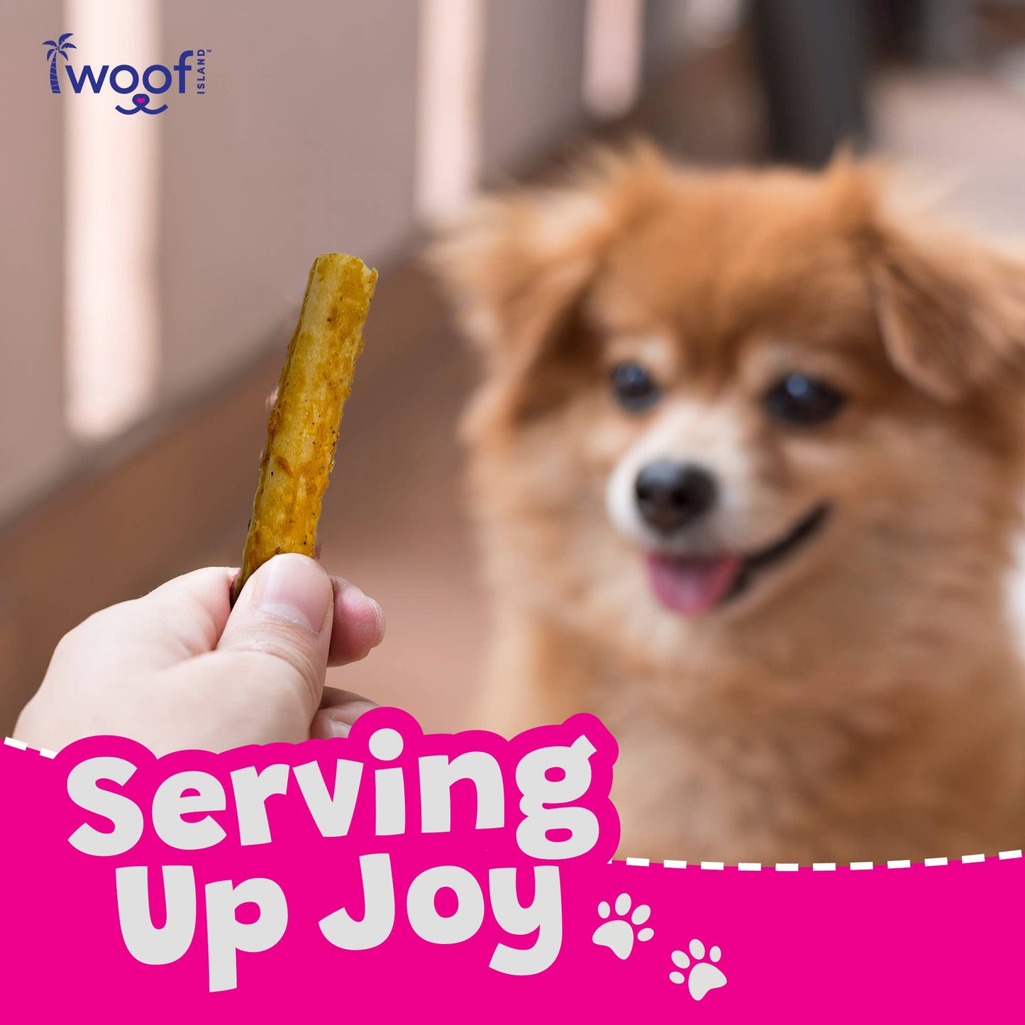 🥥🍌 Woof Island™ Coconut Pork Rolls with Banana & Chicken – All-Natural Dog Chews