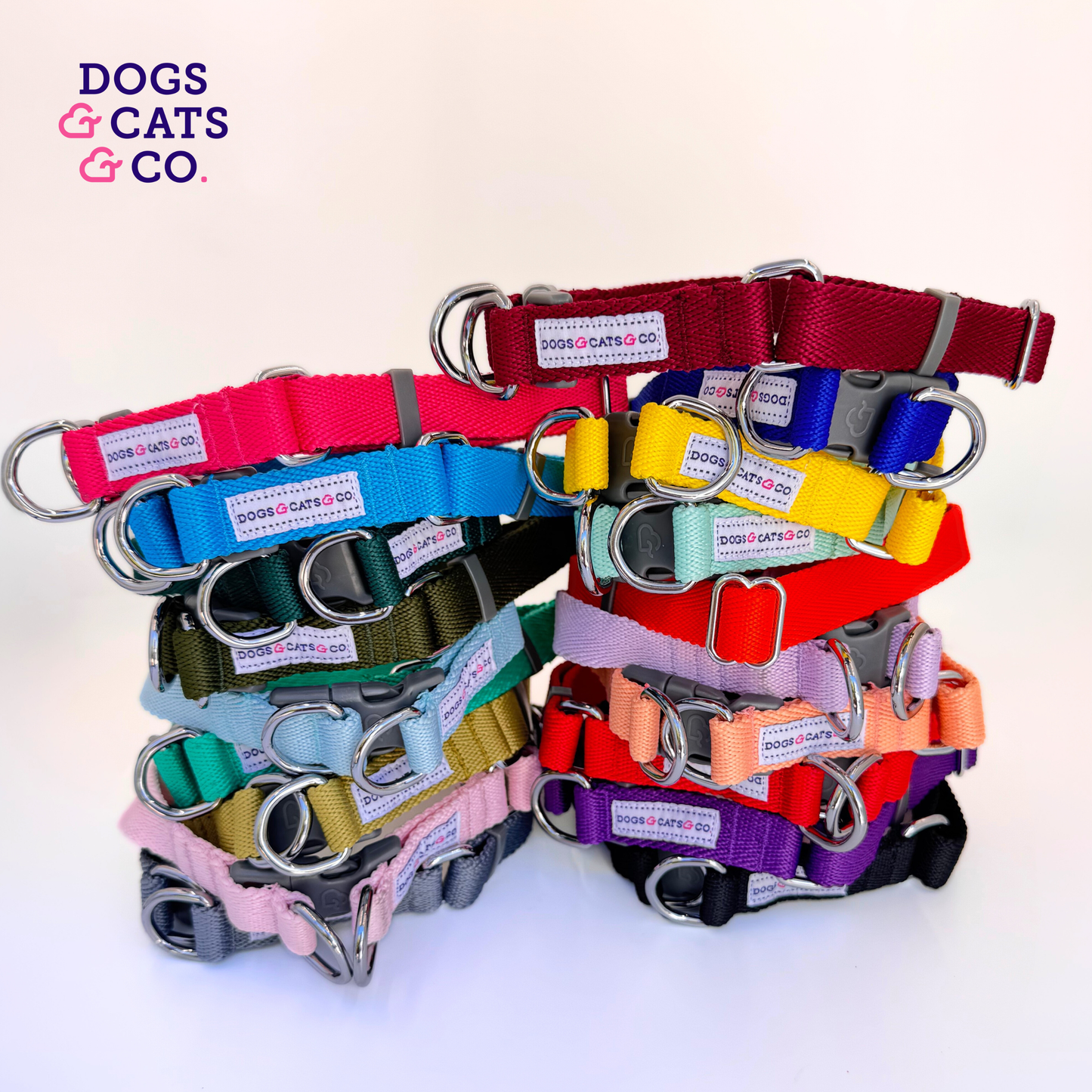 ✨ Dogs & Cats & Co. Double D-Ring Dog Collar 🐾