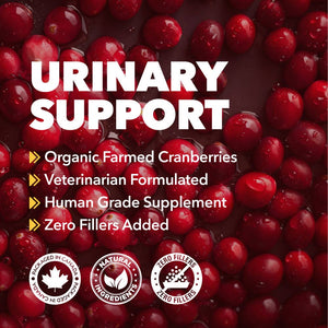 Cranberry Urinary Support Powder for Dogs & Cats