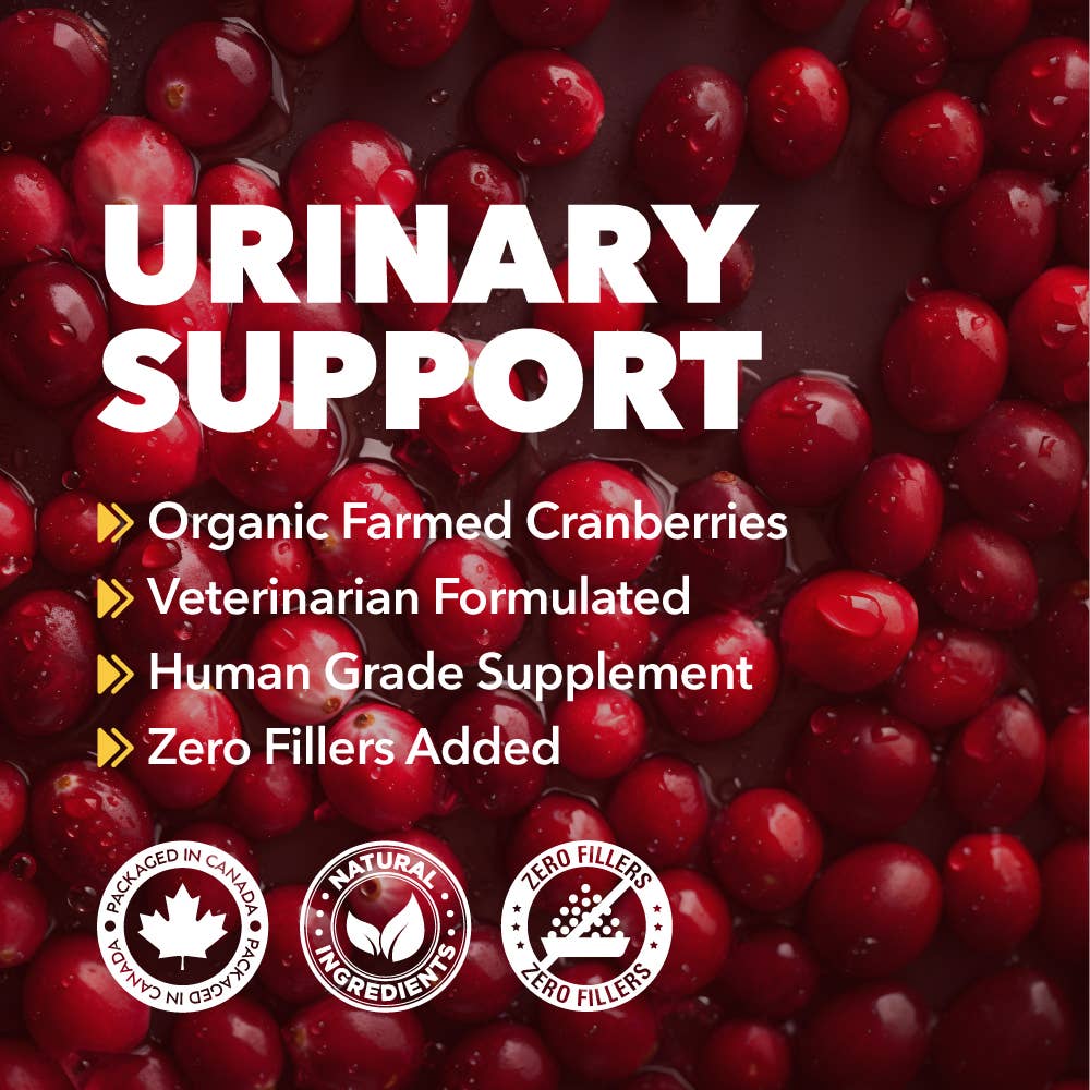 Cranberry Urinary Support Powder for Dogs & Cats