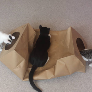 Hide & Sneak Paper Cat Play Tunnel