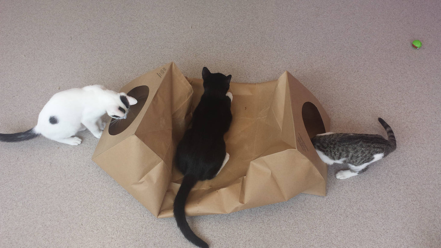 Hide & Sneak Paper Cat Play Tunnel