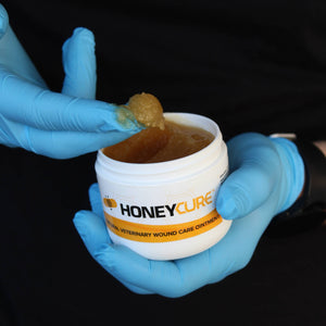 HoneyCure Ointment - Jar