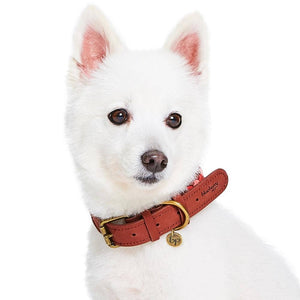 Braided Full Grain Leather Dog Collar