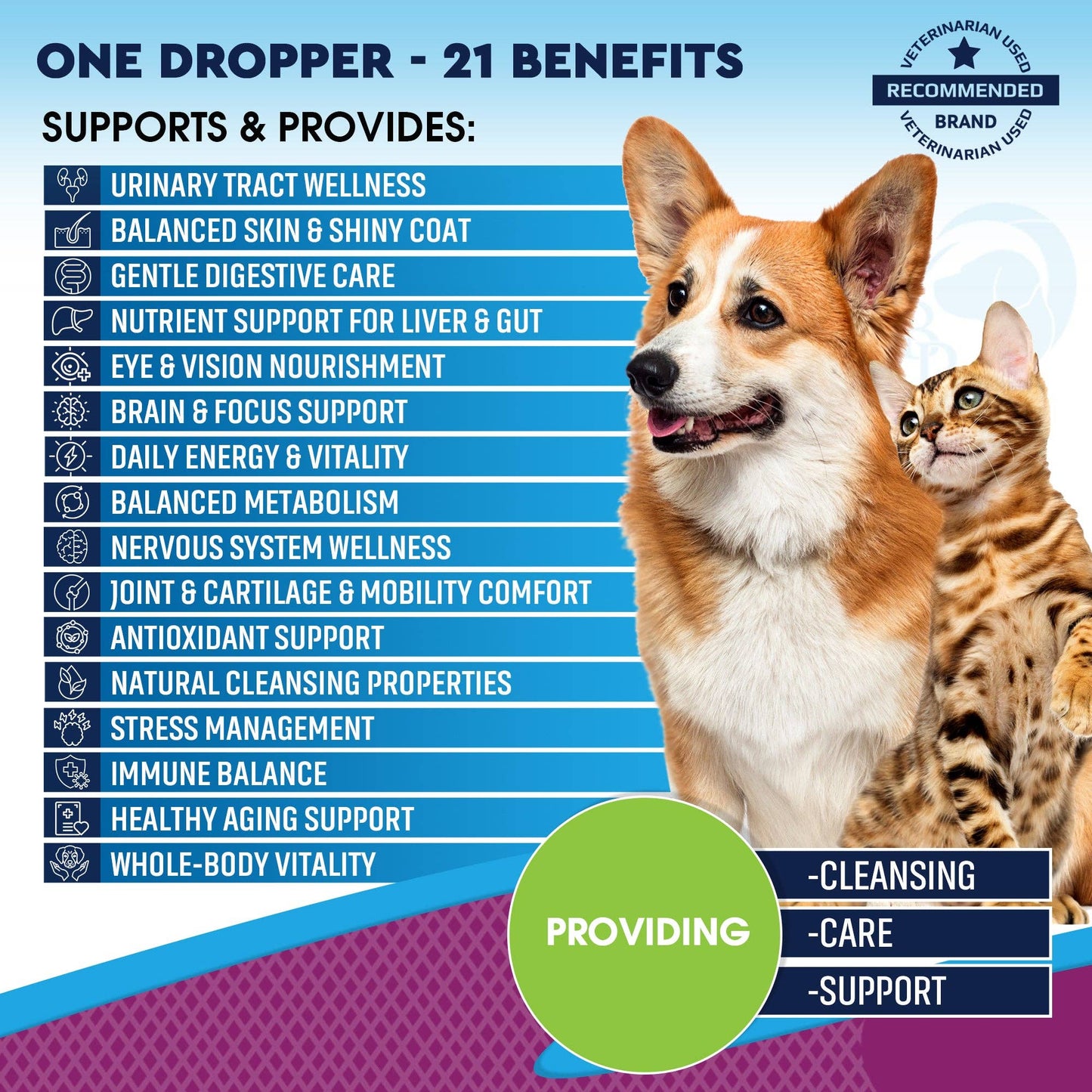 🐾✨ 21-in-1 Liquid Multivitamin for Dogs & Cats