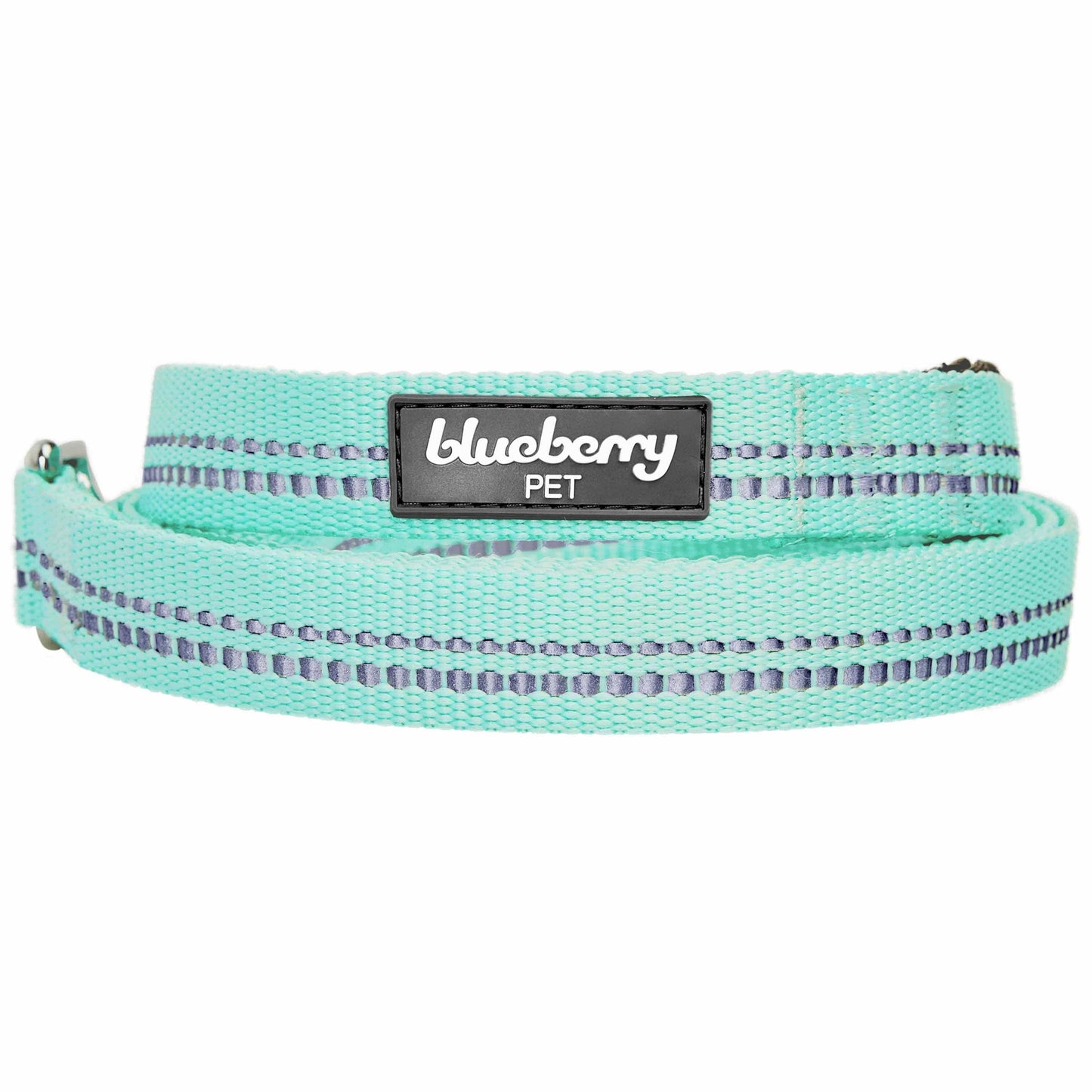🌸 Spring Colors Reflective Soft Padded Safety Dog Leash