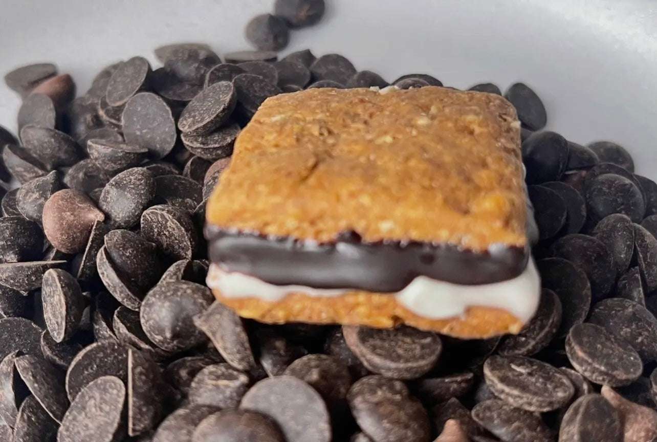 Campfire S’mores for Dogs