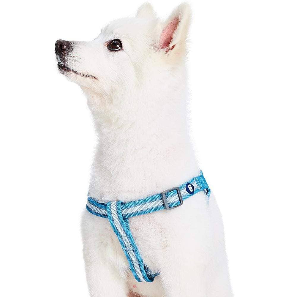 🌙🐾Better Basics Reflective Dog Harness