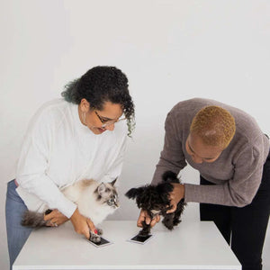 Pet Pawprint Clean-Touch Ink Pad