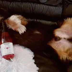 Dog Wine Liquid Supplement
